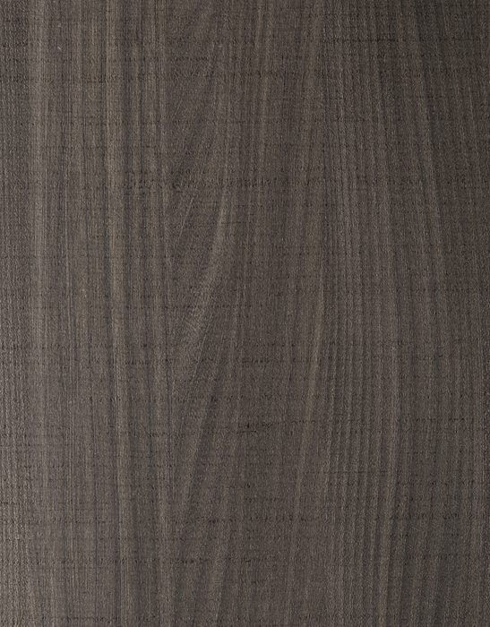 Olmo Jerez Scuro 6782/SG